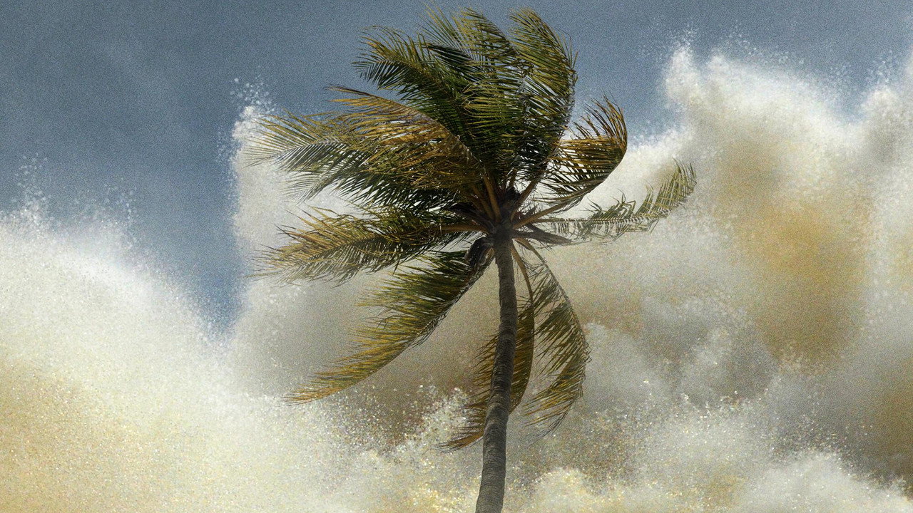Tsunami 2004 : La Vague Mortelle