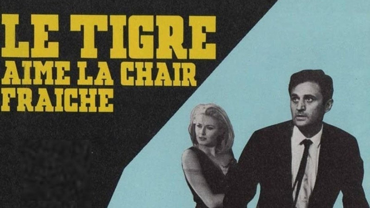 Le Tigre aime la chair fraîche