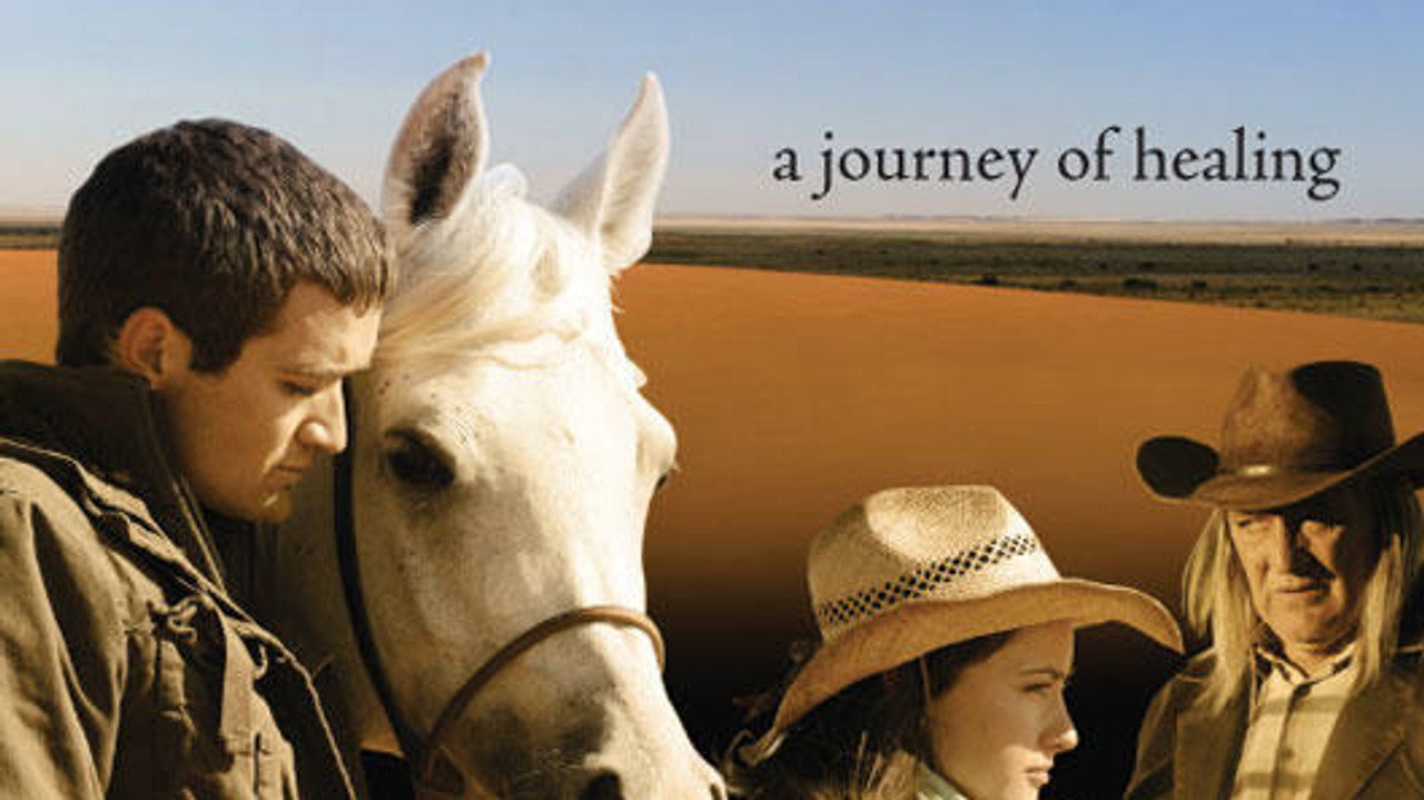 Tornado And The Kalahari Horse Whisperer Full Movie