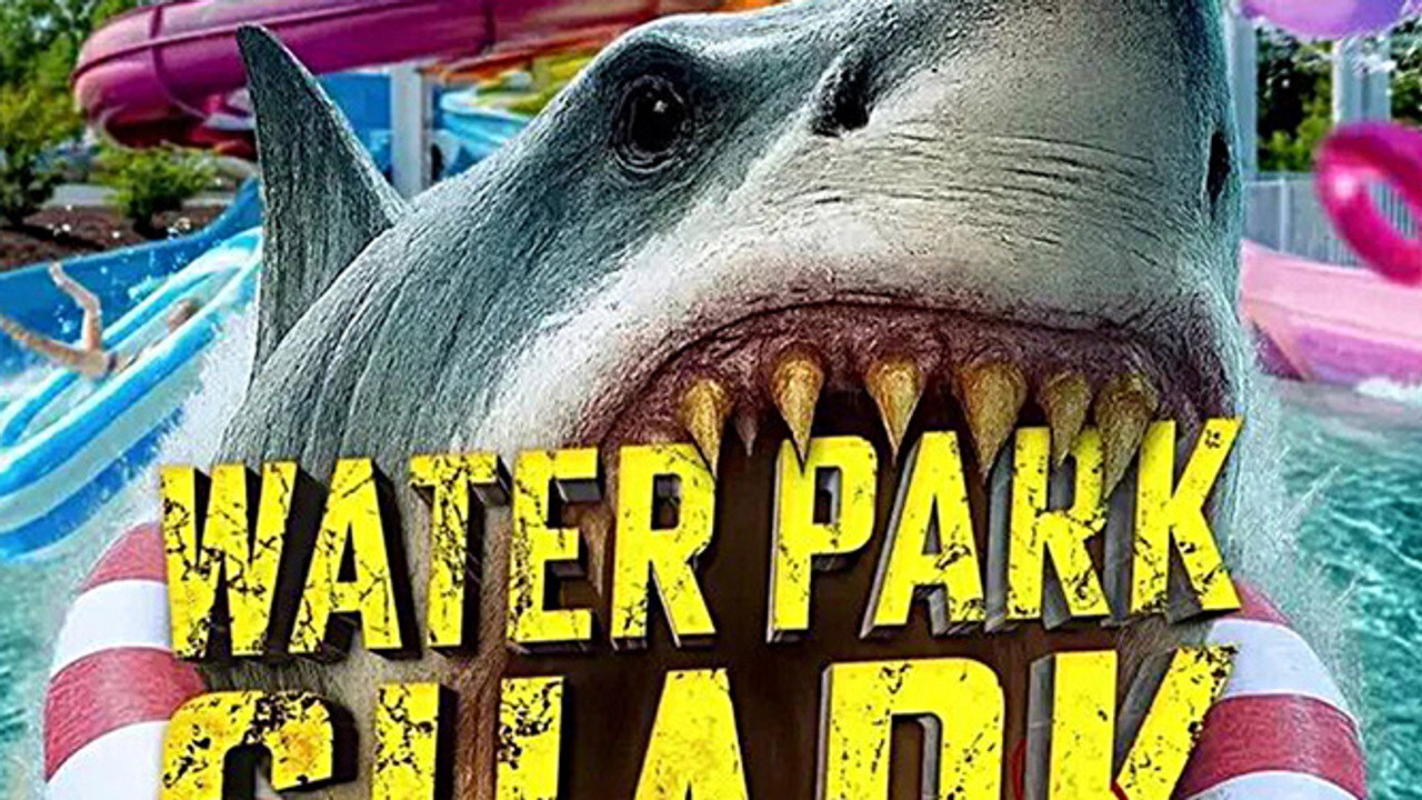 Water Park Shark