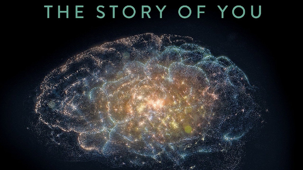 The Brain with David Eagleman