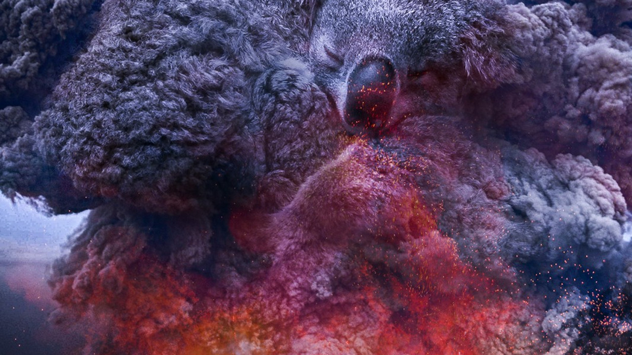 Depois dos Incêndios Florestais