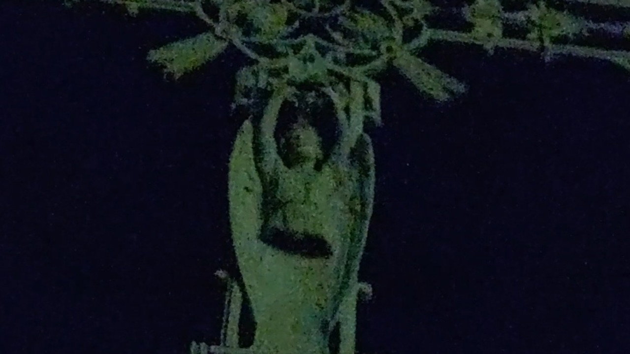 SALOMONE