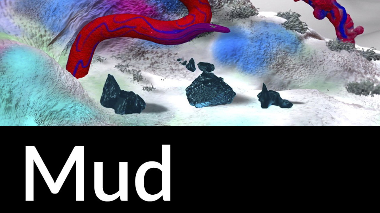 Mud