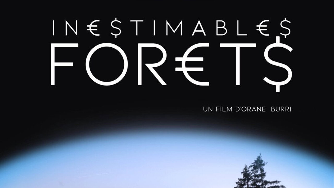 Inestimables forêts