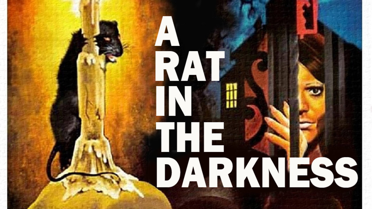 A Rat in the Darkness