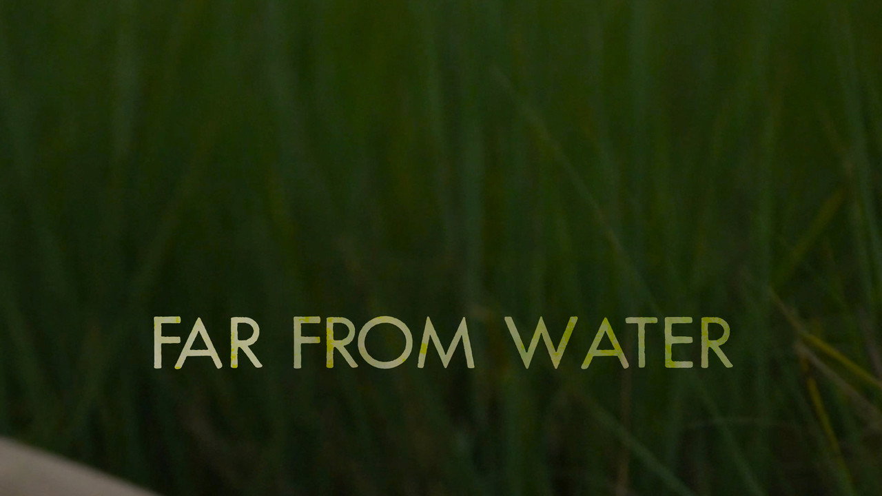 Far From Water