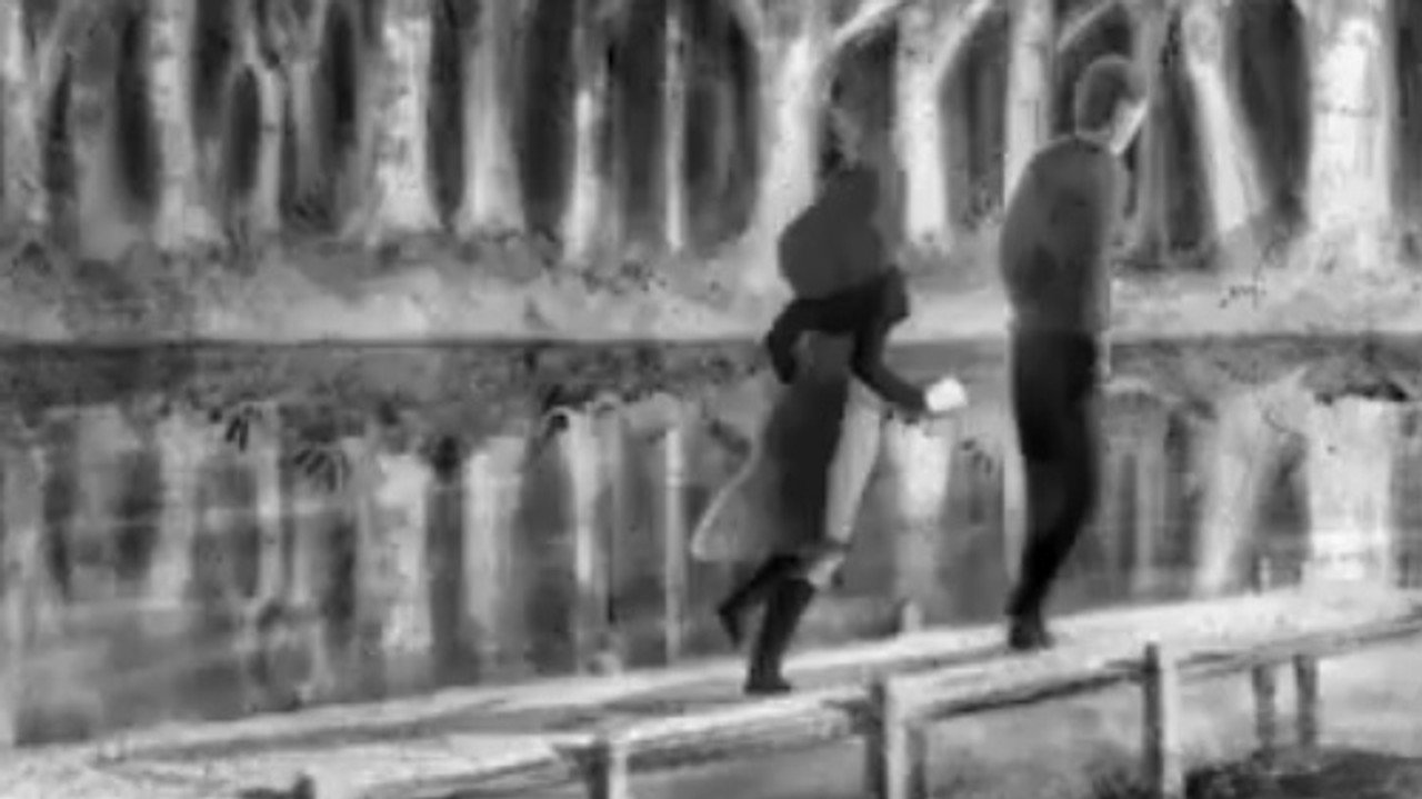 La ballade sauvage