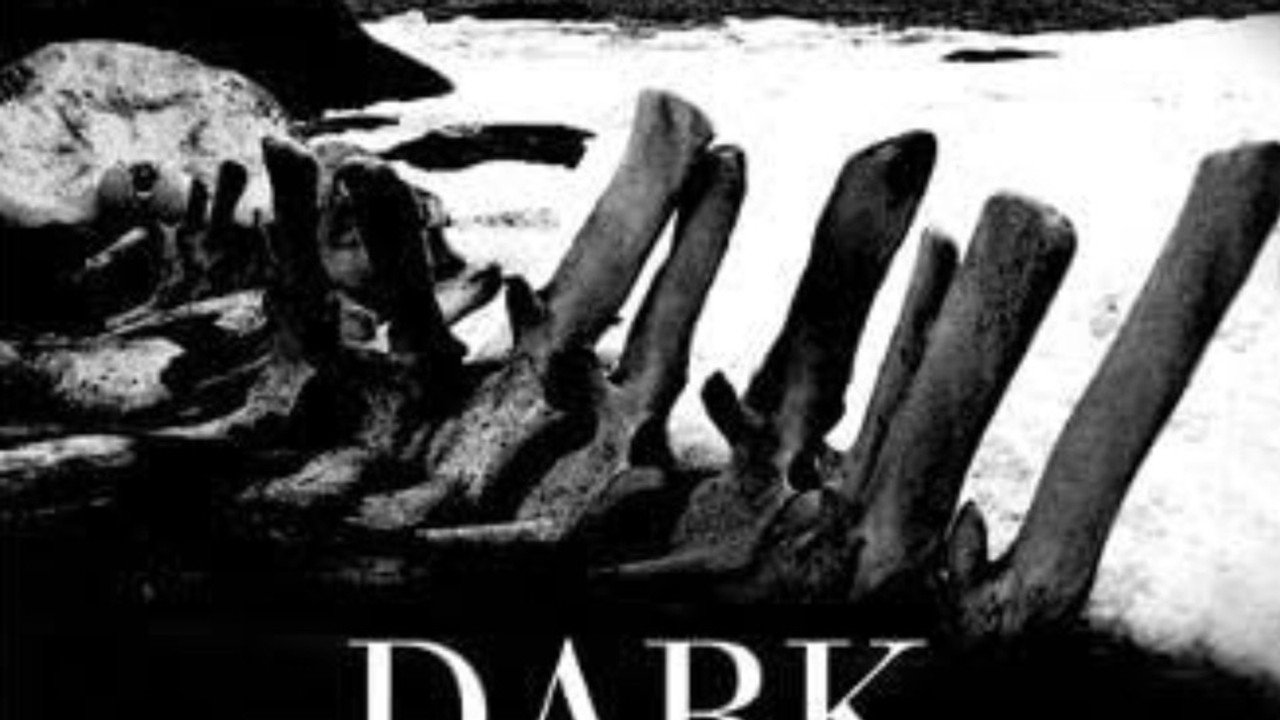 Dark Matter