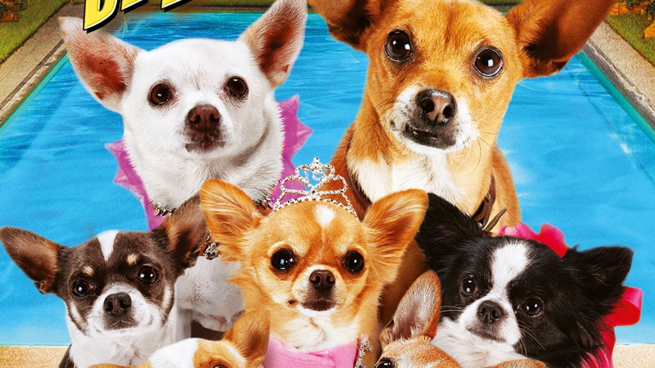 Le Chihuahua de Beverly Hills 3 : Viva la Fiesta !