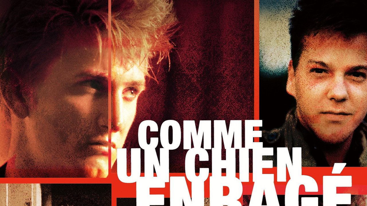Comme un chien enragé
