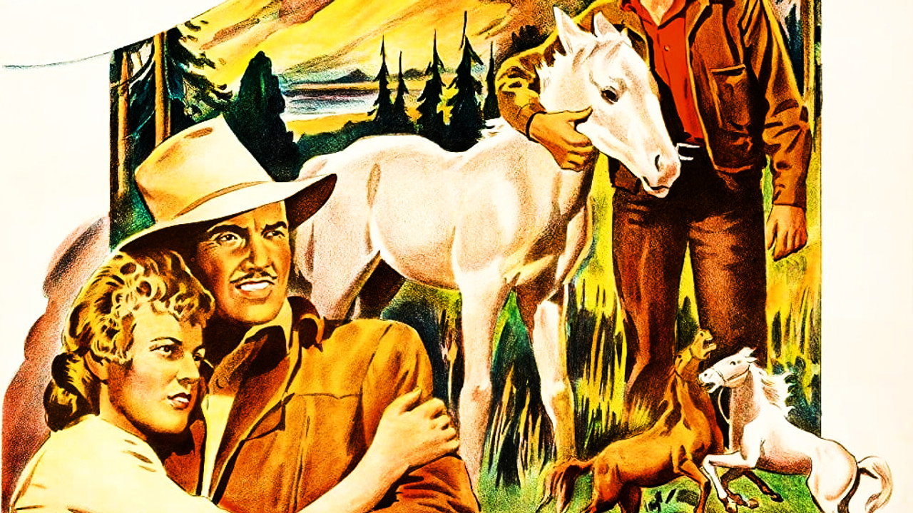 Le Fils de Flicka - Thunderhead