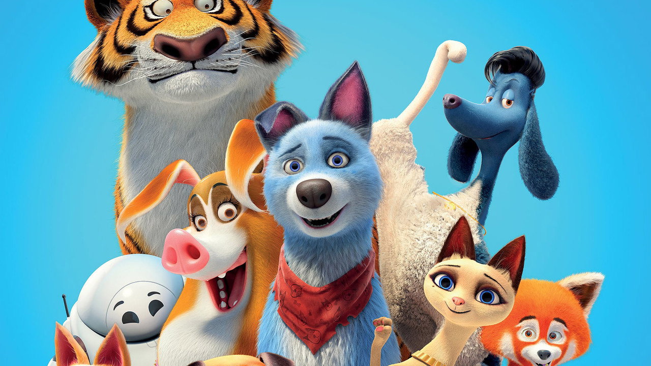 Pets United : L'union fait la force