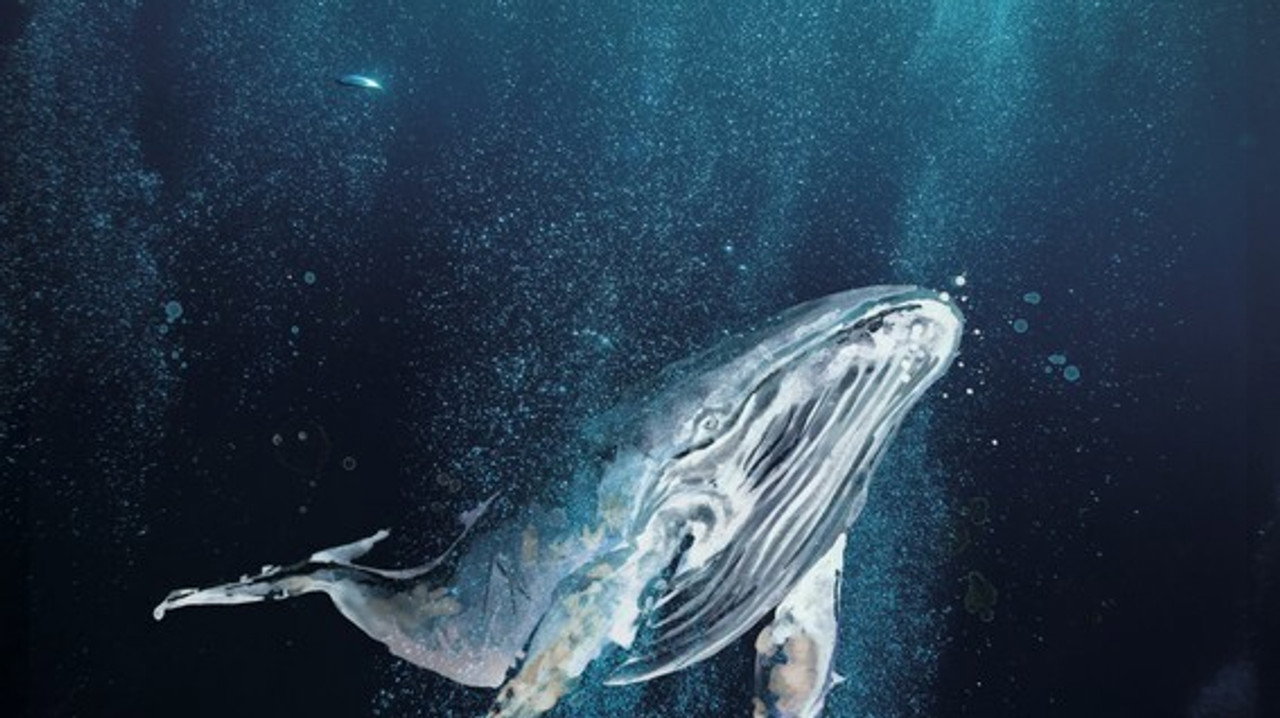 Ama'ara - the Song of the Whales