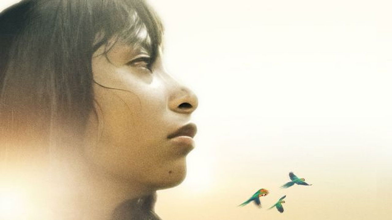 Operação Esperança:  As Crianças perdidas na Amazônia