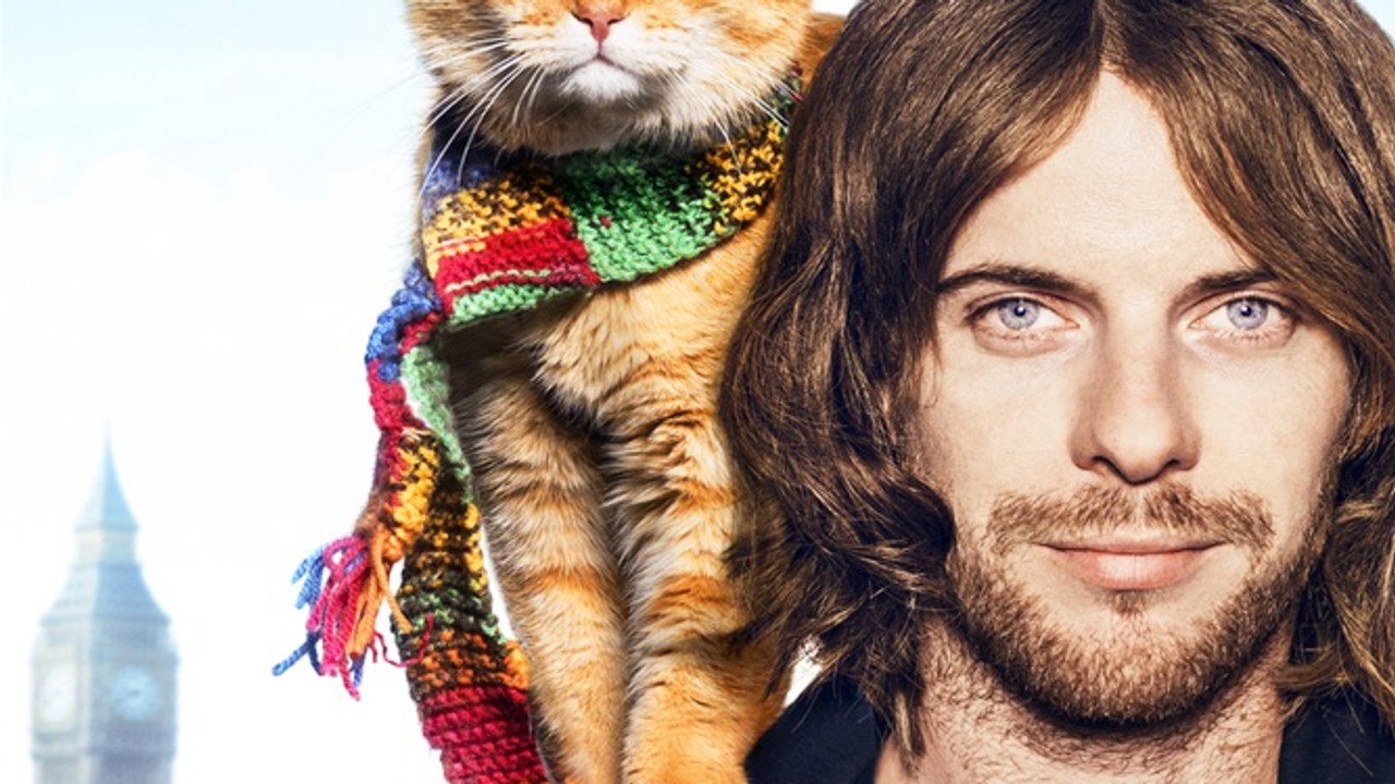 Un chat pour la vie