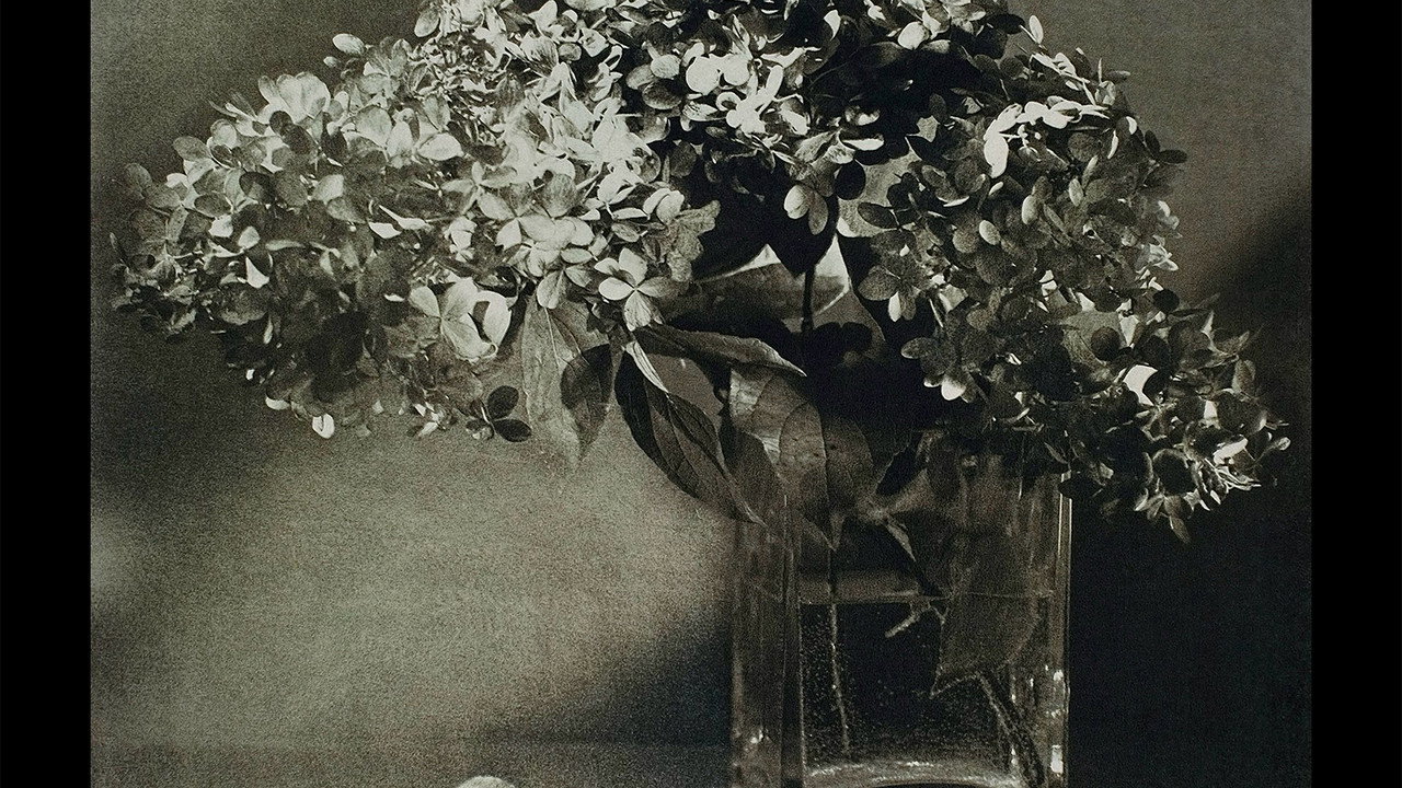 Darkroom Diaries