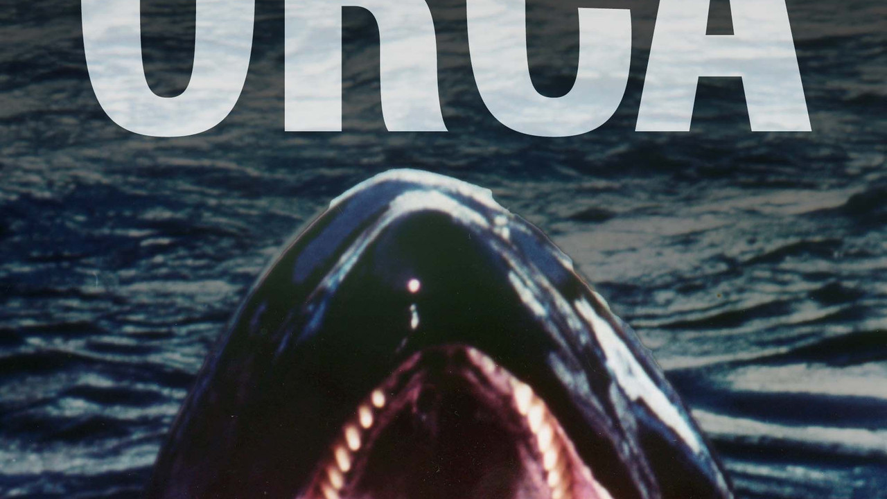 Orca