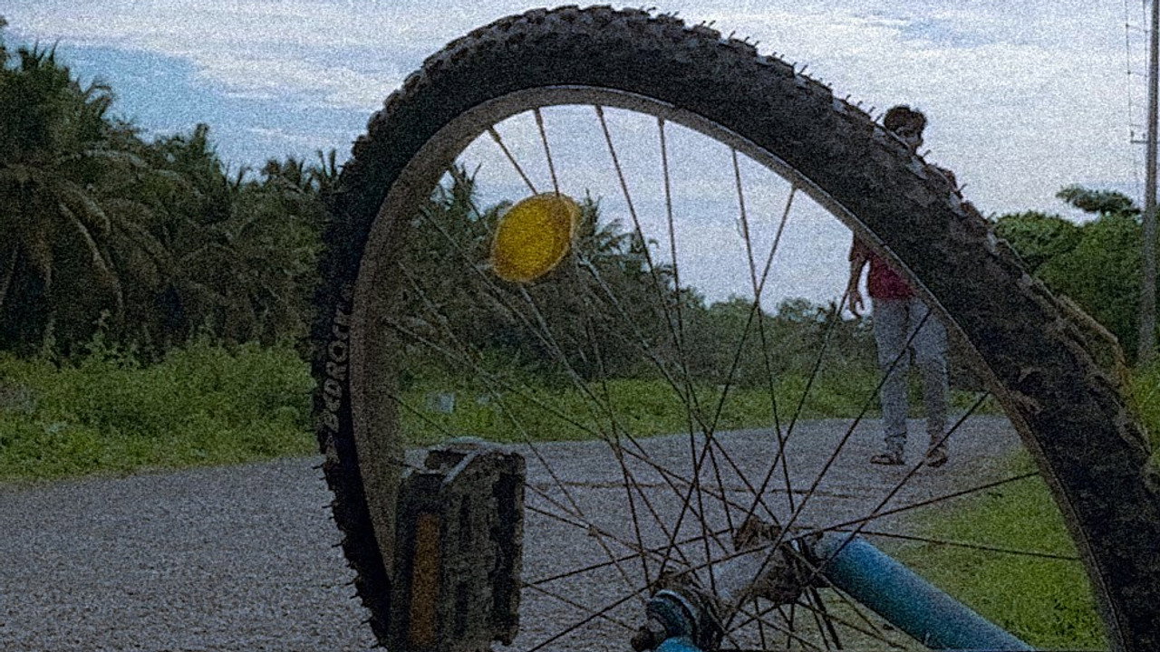 The Cycle