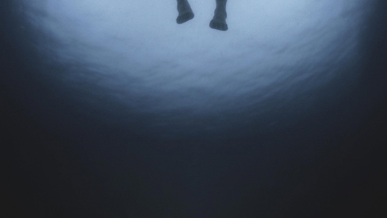 The Swimmer