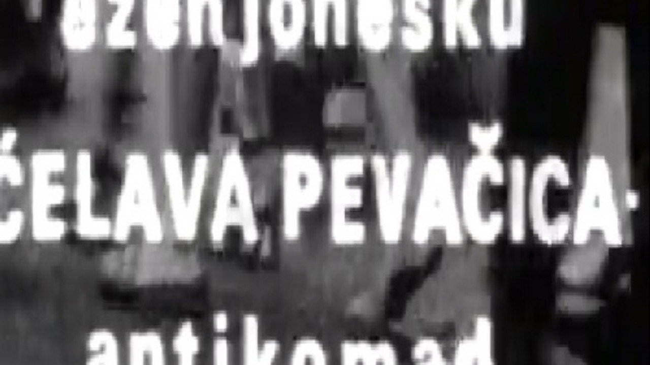 Ćelava pevačica