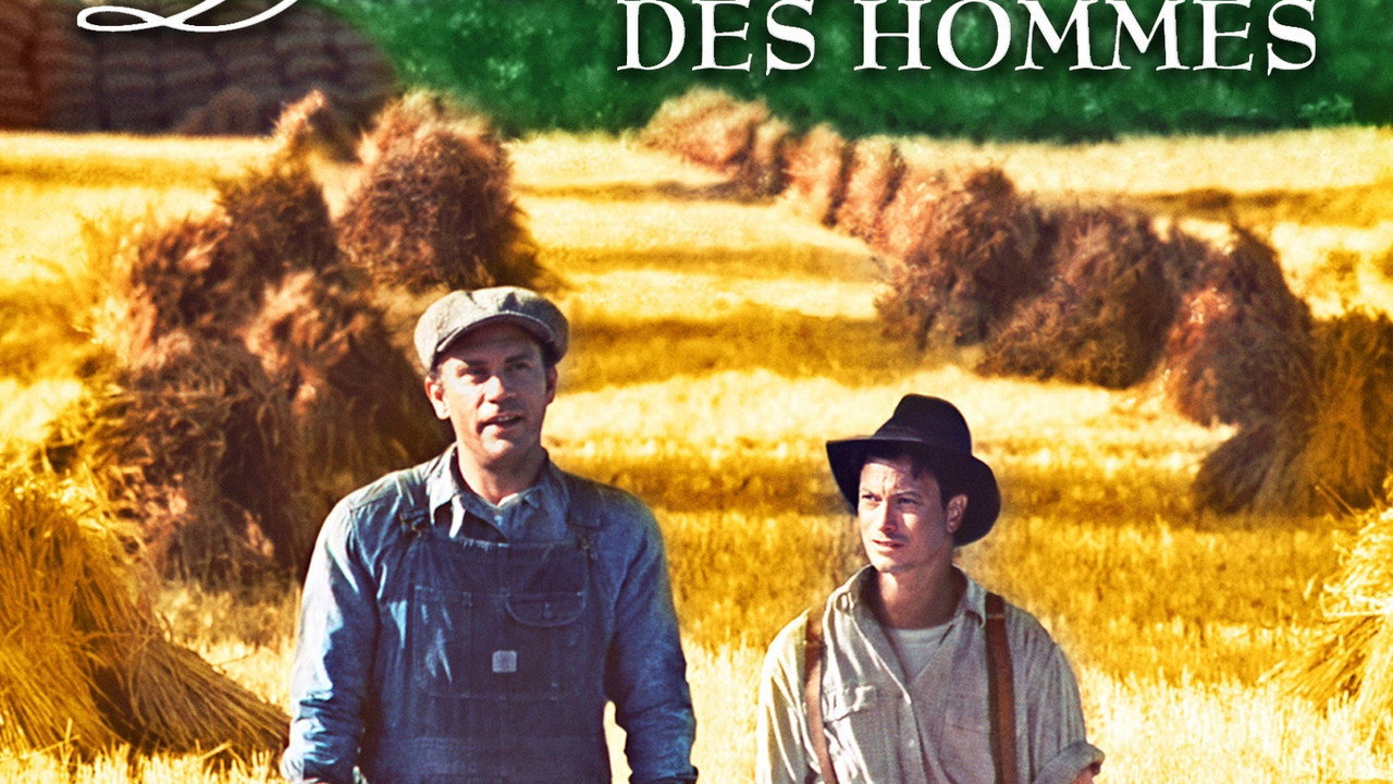 Des souris et des hommes