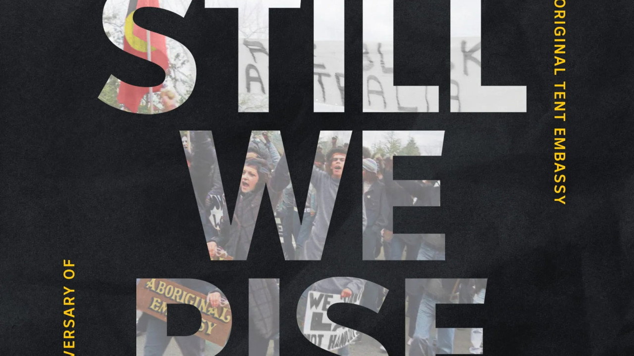 Still We Rise