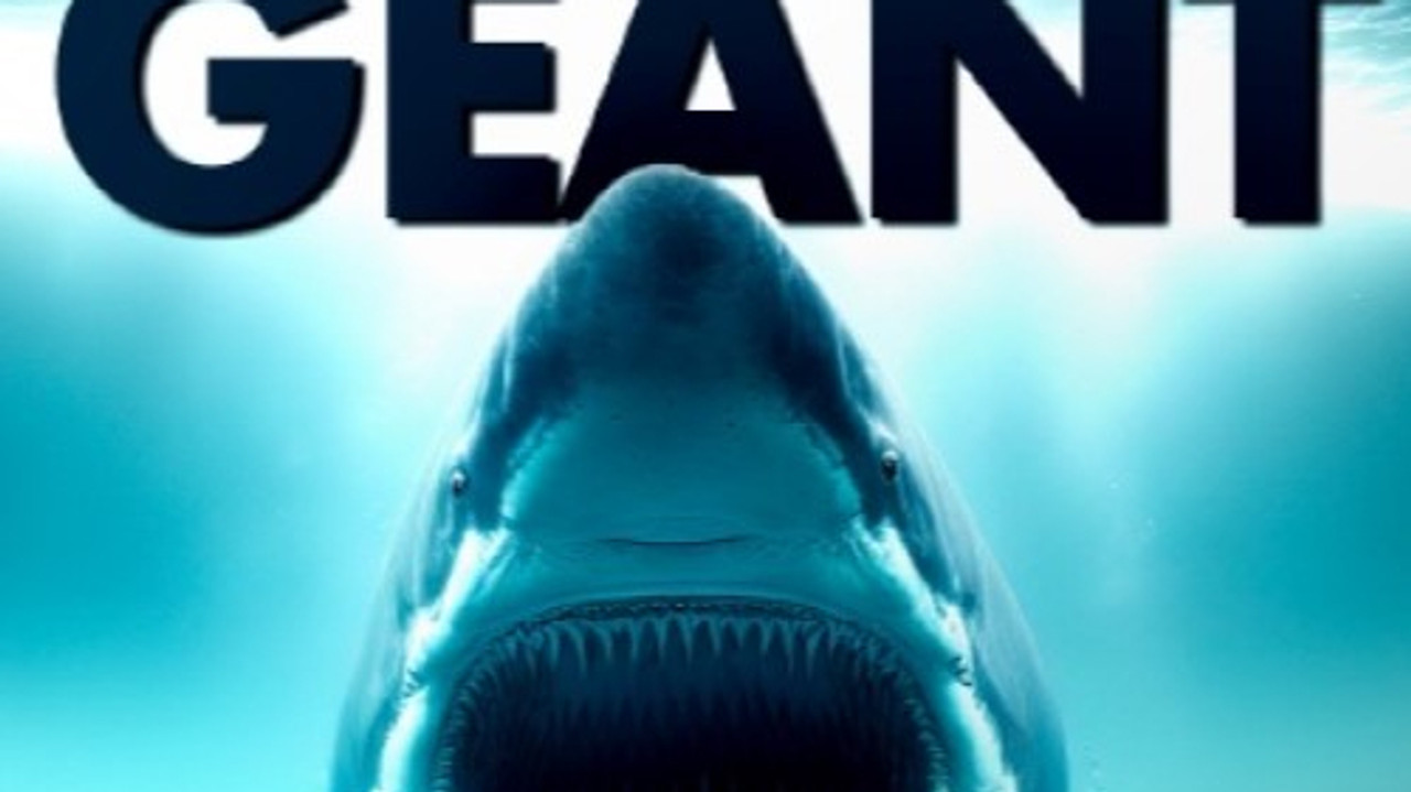 Mégalodon, le requin géant
