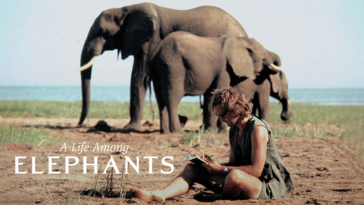 Immagine di copertina del trailer di A Life Among Elephants