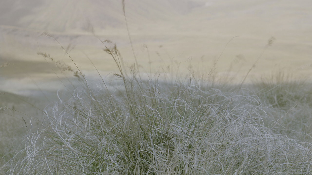 Fibers