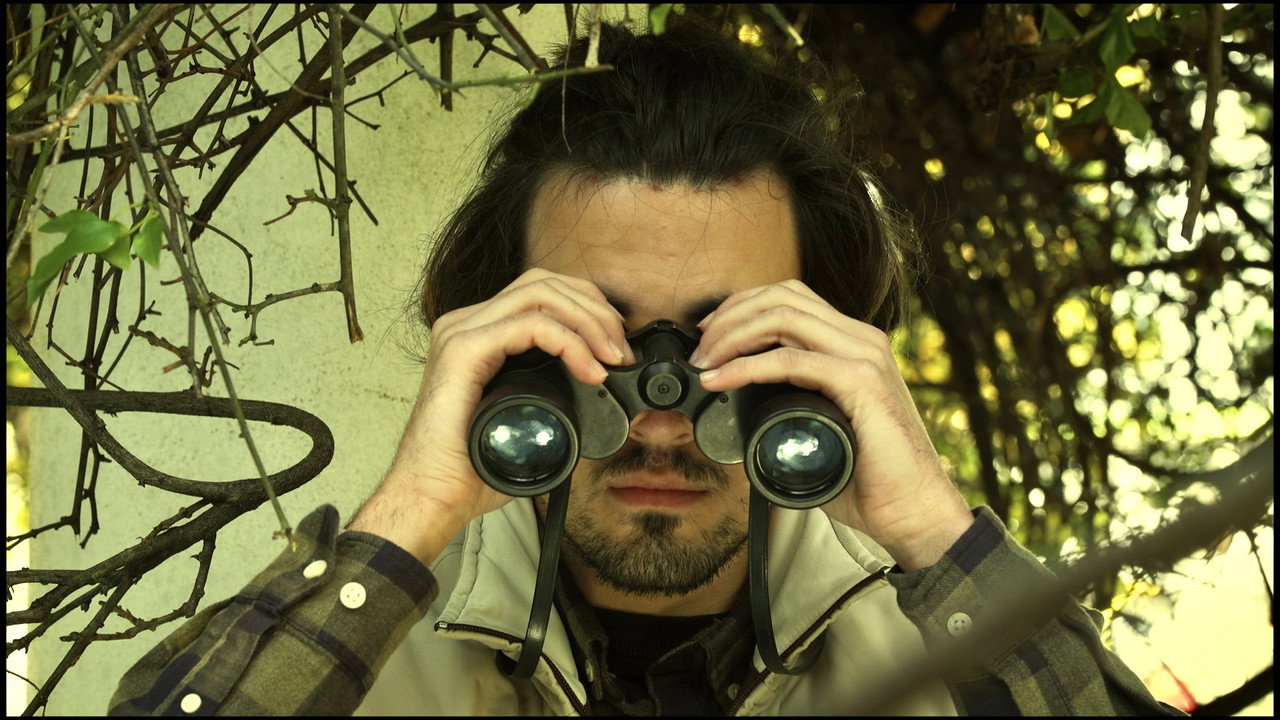The Birdwatcher