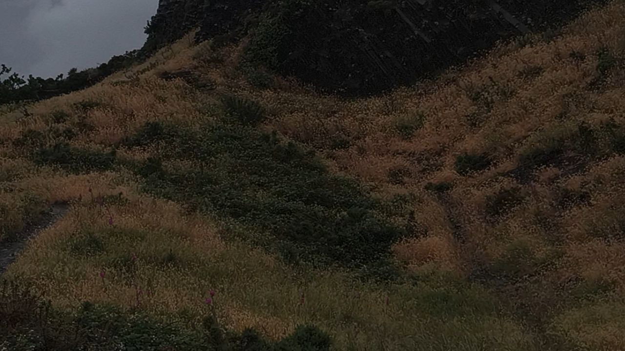 The Outskirts