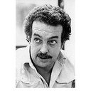 Carlos Queiroz Telles, Writer