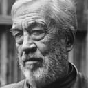 John Huston als John Hay