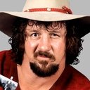 Terry Funk als Himself