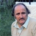 Raffaele Andreassi, Writer