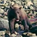 The Grinch als Self (archive footage)