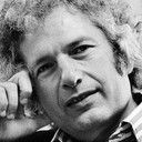 Joseph Heller, Novel