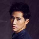 Meng-Lin Yang als 王振文