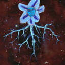 Dominique als Planta 2