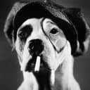 Pete the Dog als Pete