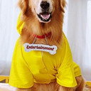 Junior als Entertainment