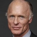 Ed Harris als David Englander