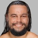 Taylor Rotunda als Bo Dallas