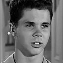 Tony Dow als Wally (segment "Courtroom")