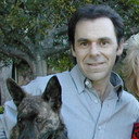 Bryan Michael Stoller, Director