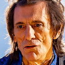 Ronnie Wood als Self