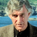 Damien Langan als Dr. Harold Newman