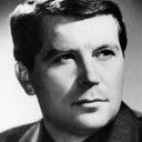 Будимир Метальников, Director