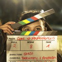 Cecília Schroeder Catarino, Screenplay